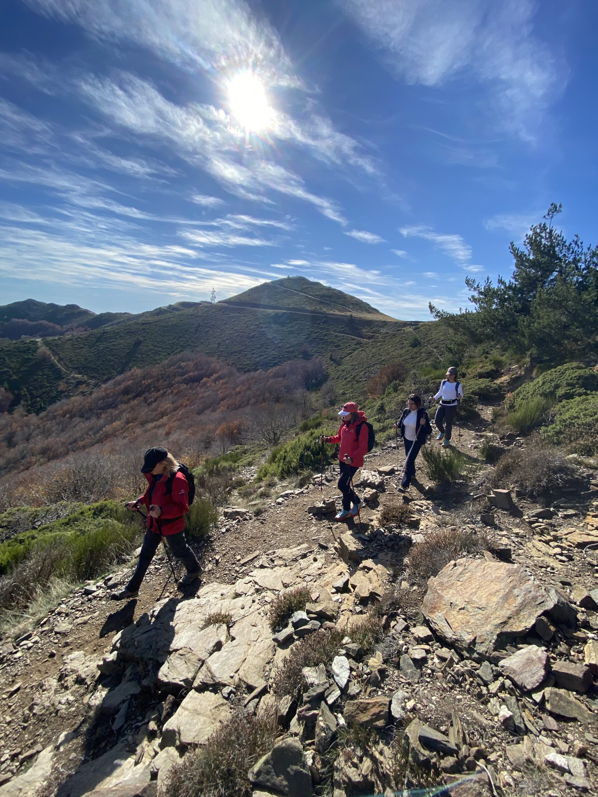 Gaudeix de la natura en una ruta plena d'emocions i descobriments